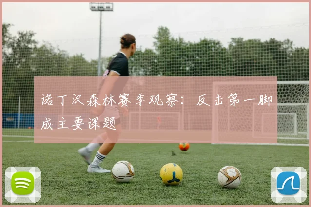 诺丁汉森林赛季观察：反击第一脚成主要课题