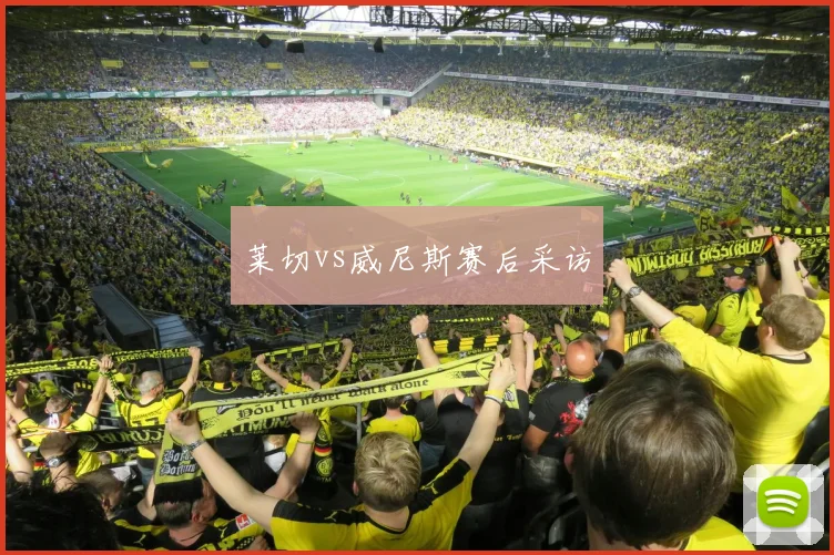 莱切vs威尼斯赛后采访
