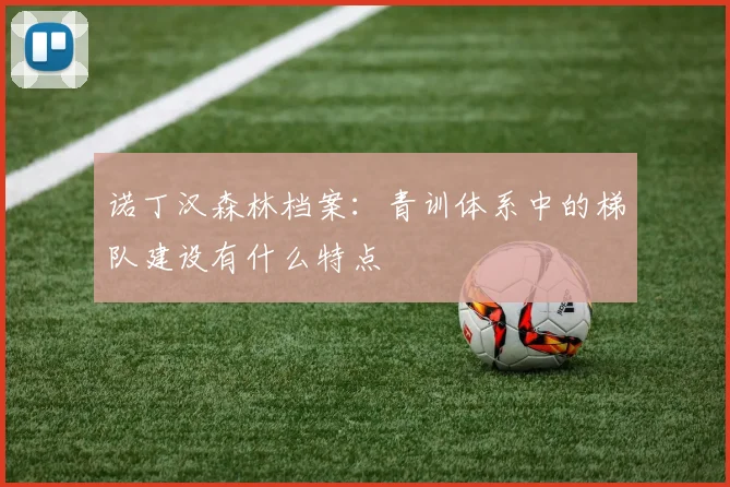 诺丁汉森林档案：青训体系中的梯队建设有什么特点